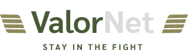 Logo Valor Net